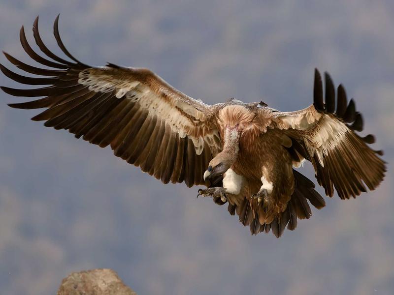 酒店试睡员<br>yxepqio.cn 枕头舒适度报告